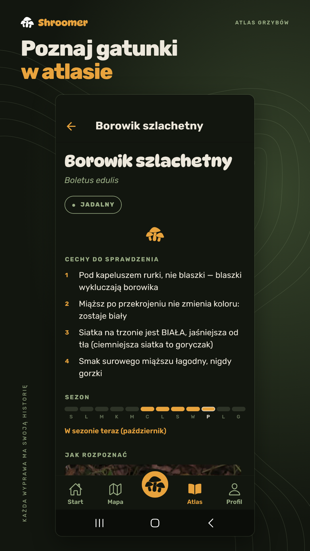 Species atlas